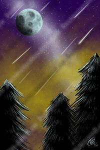 Meteor Shower Sky Meteor Shower Sky