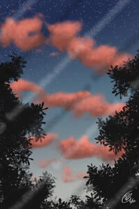 Backyard Evening Clouds