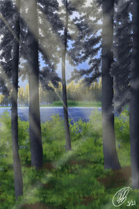Sunny Forest Sunny Forest