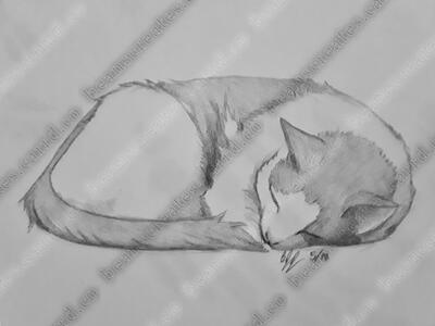 Sleeping Diamond Sleeping Diamond