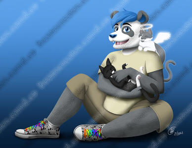 PatchTPanda PatchTPanda